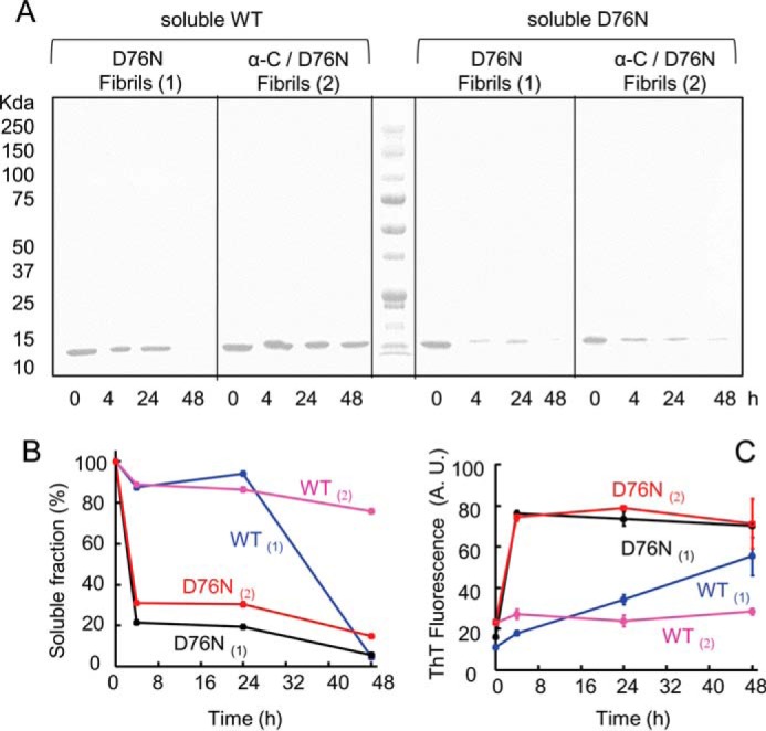 FIGURE 11.