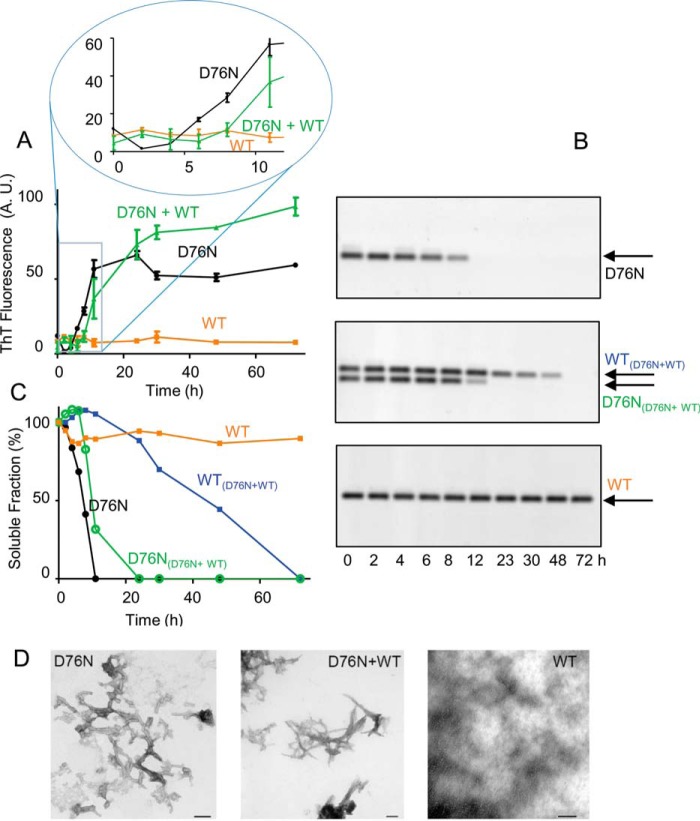 FIGURE 1.