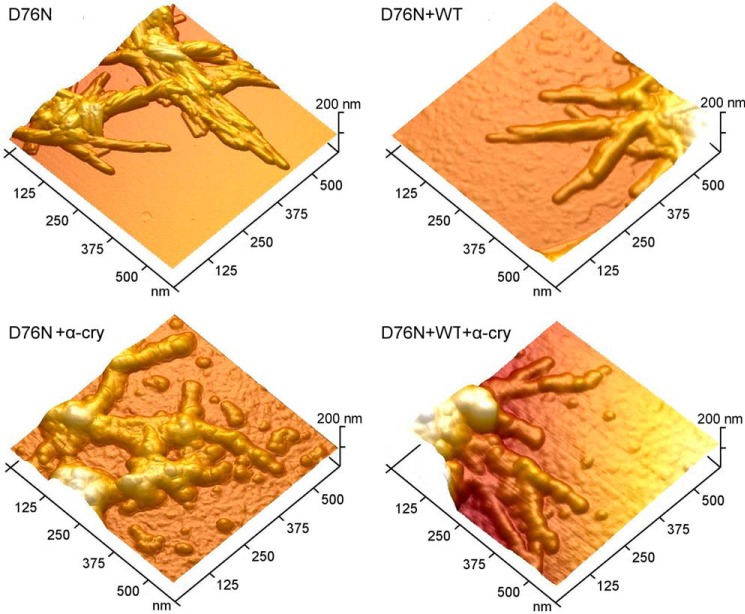 FIGURE 12.