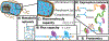 Fig 1 |