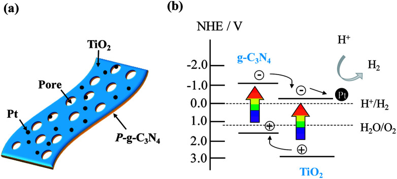 Fig. 11