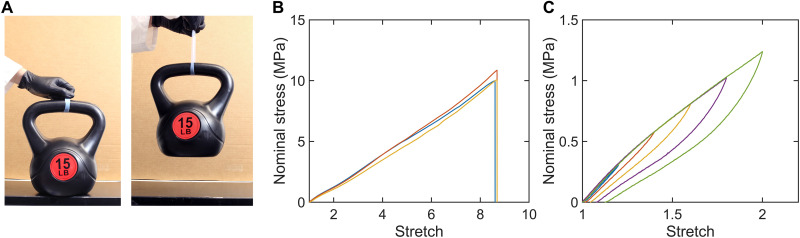 Fig. 5.