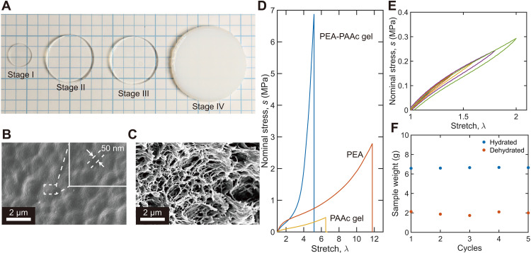 Fig. 3.