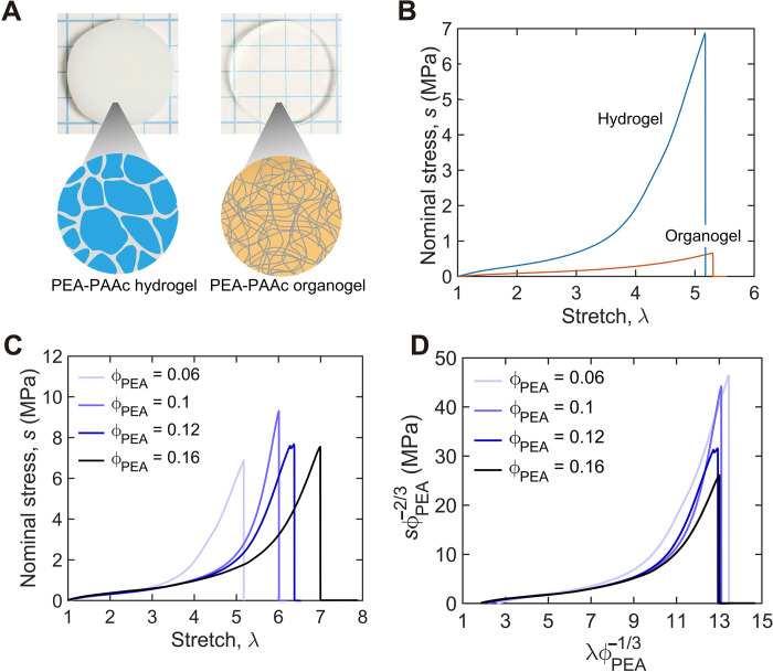 Fig. 4.