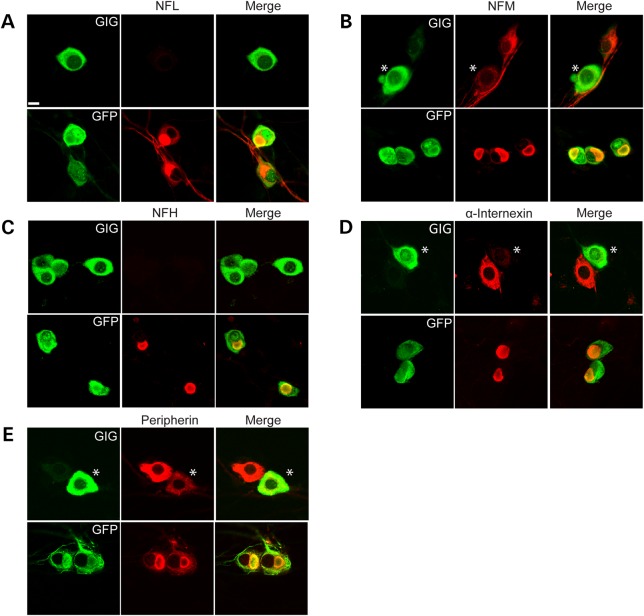 Figure 3.