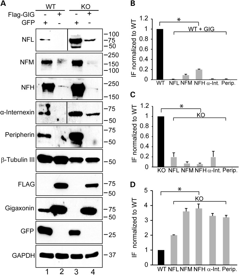 Figure 4.