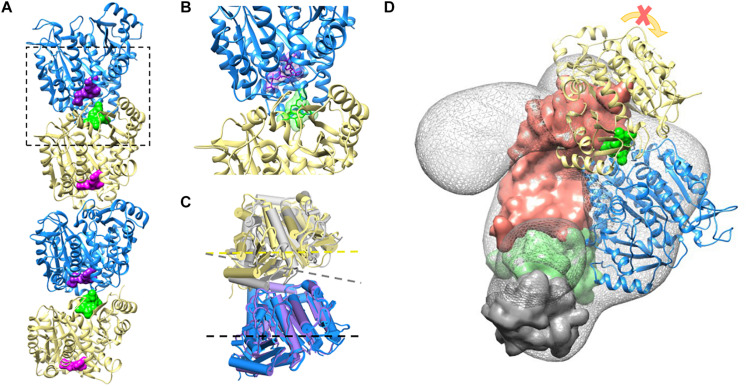 FIGURE 4