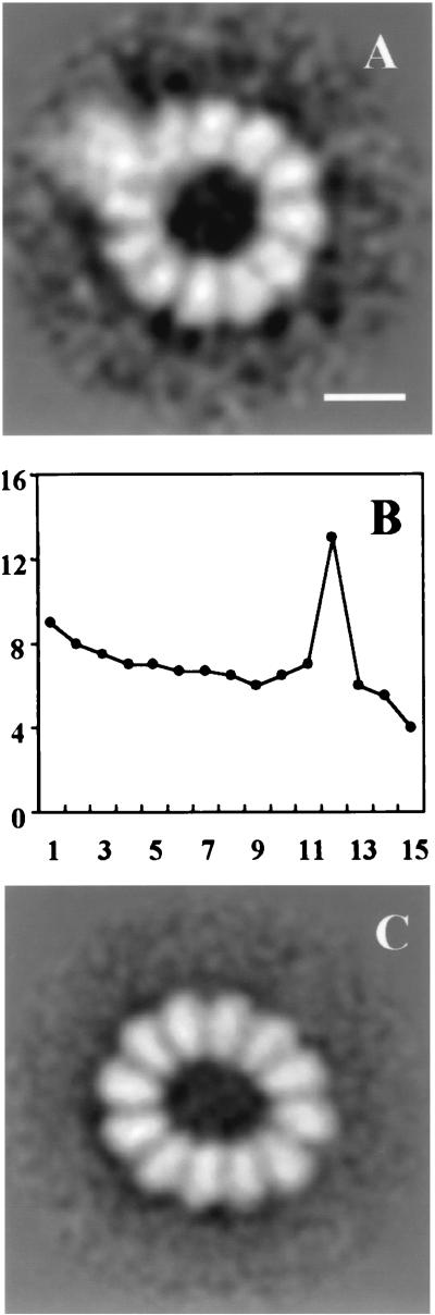 FIG. 7