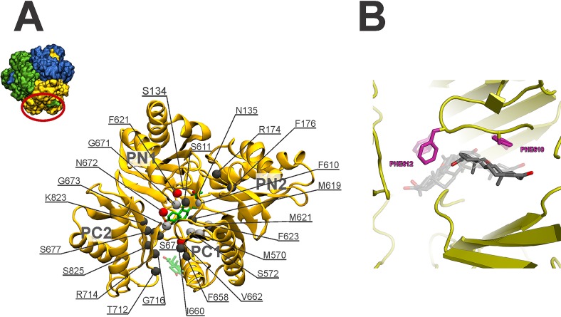 FIG 2