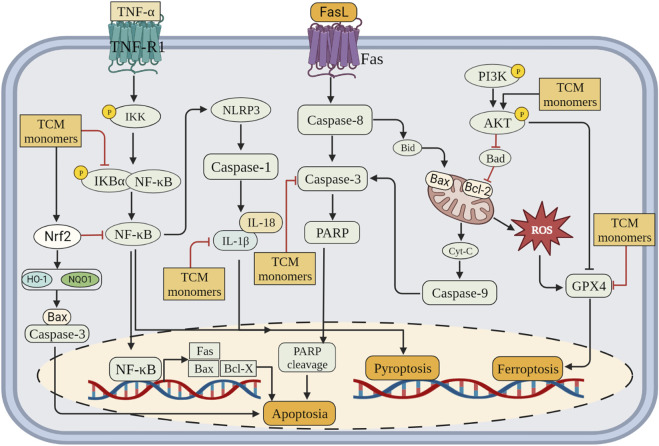 FIGURE 3