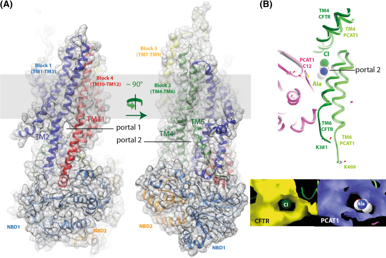 Fig. 4