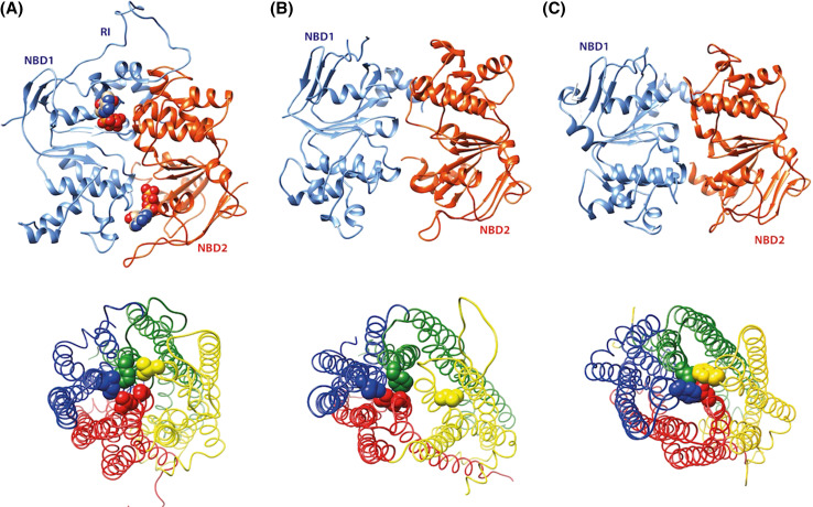 Fig. 3