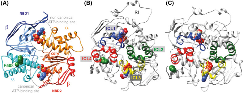 Fig. 1