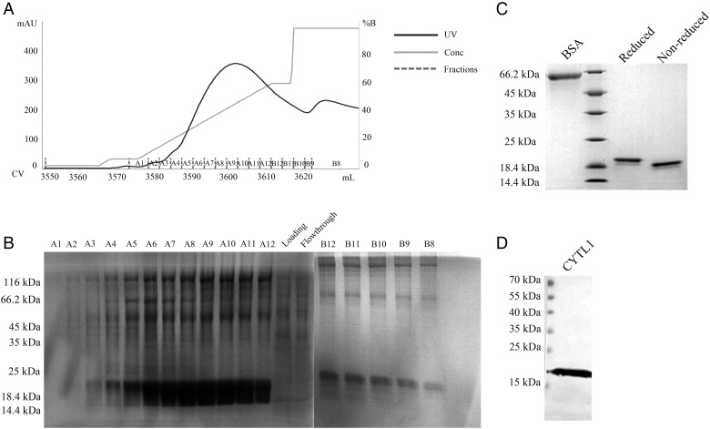 Figure 2.