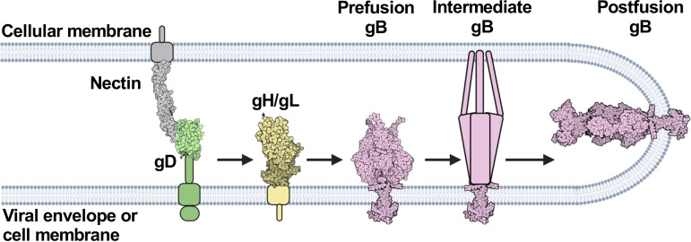 FIG 1