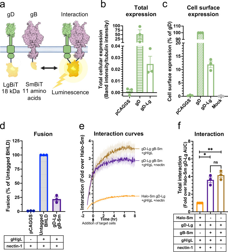 FIG 6