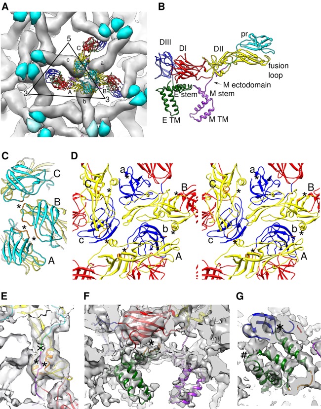 Fig 2