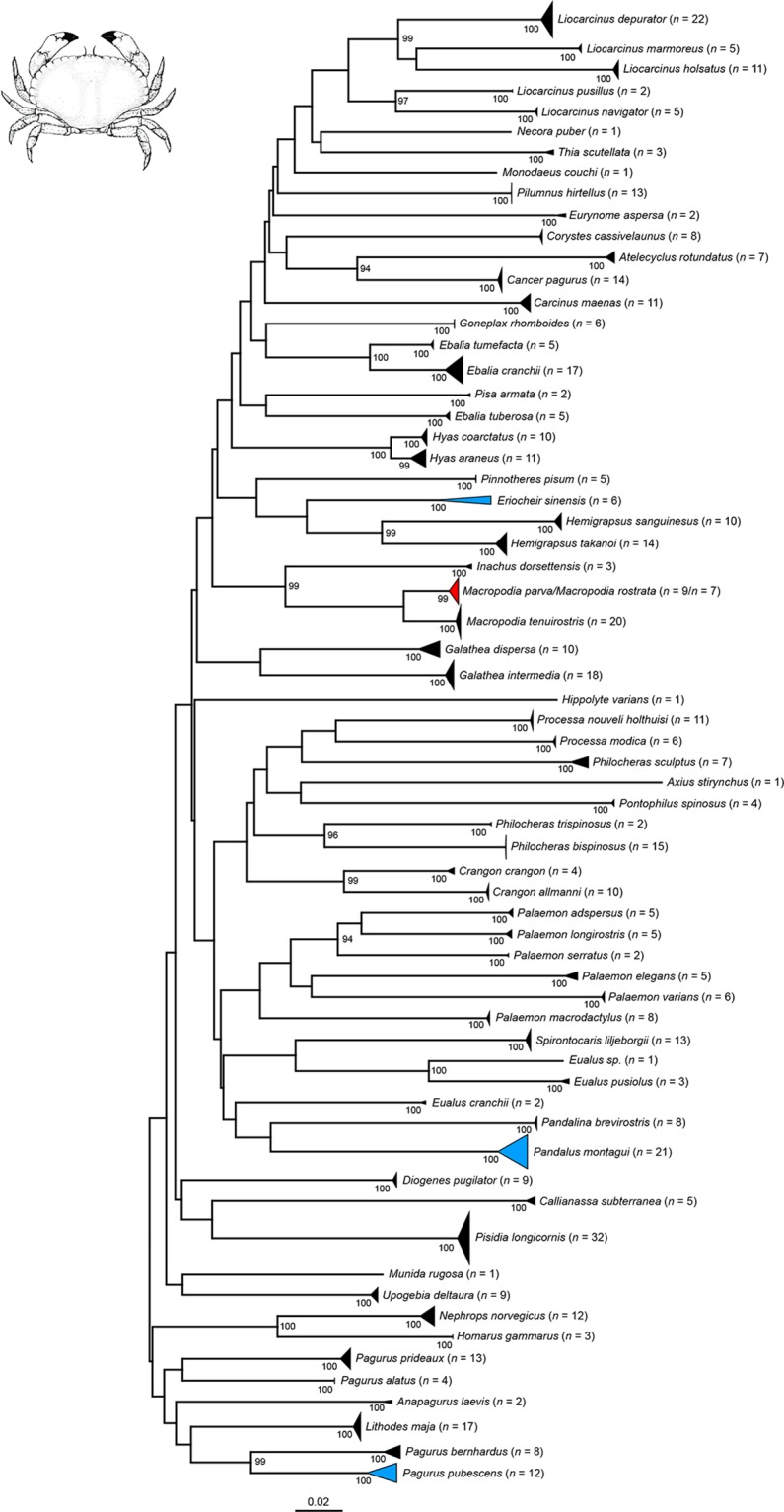 Fig 3