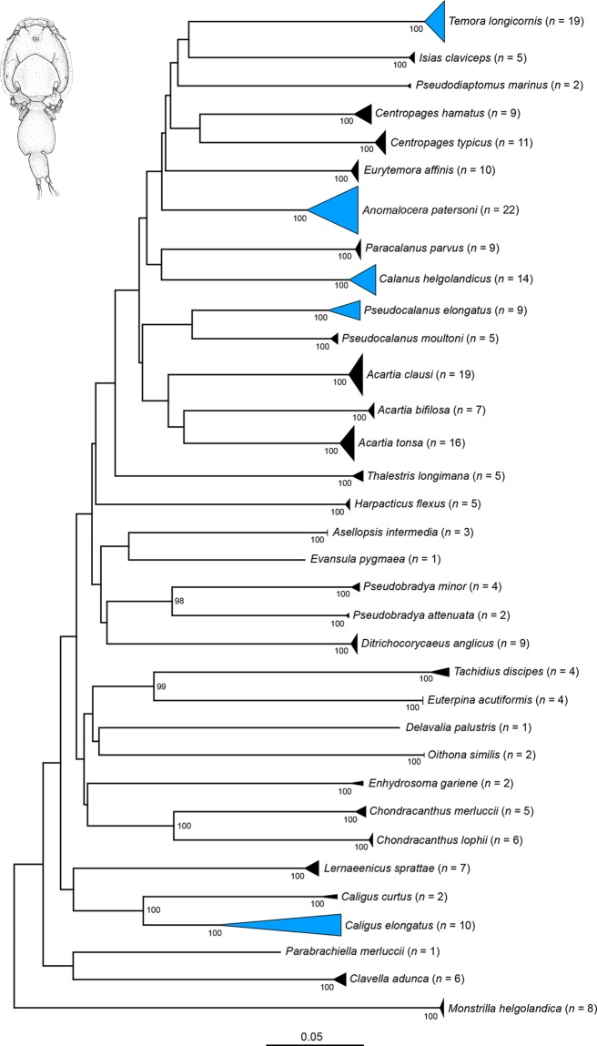 Fig 1