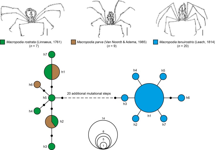 Fig 6