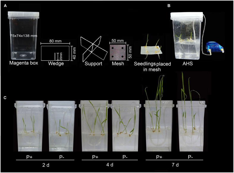 FIGURE 3