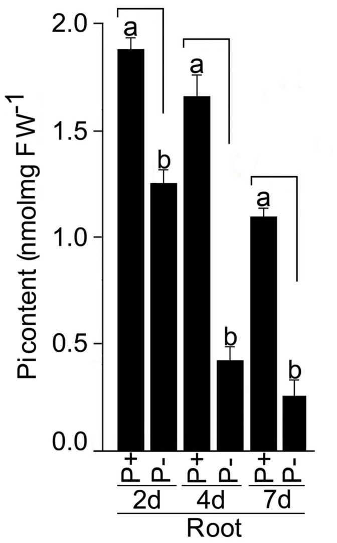 FIGURE 9