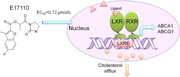 fx1