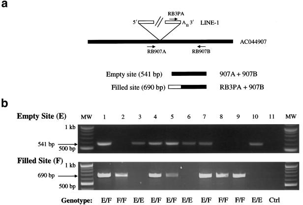 Figure  4