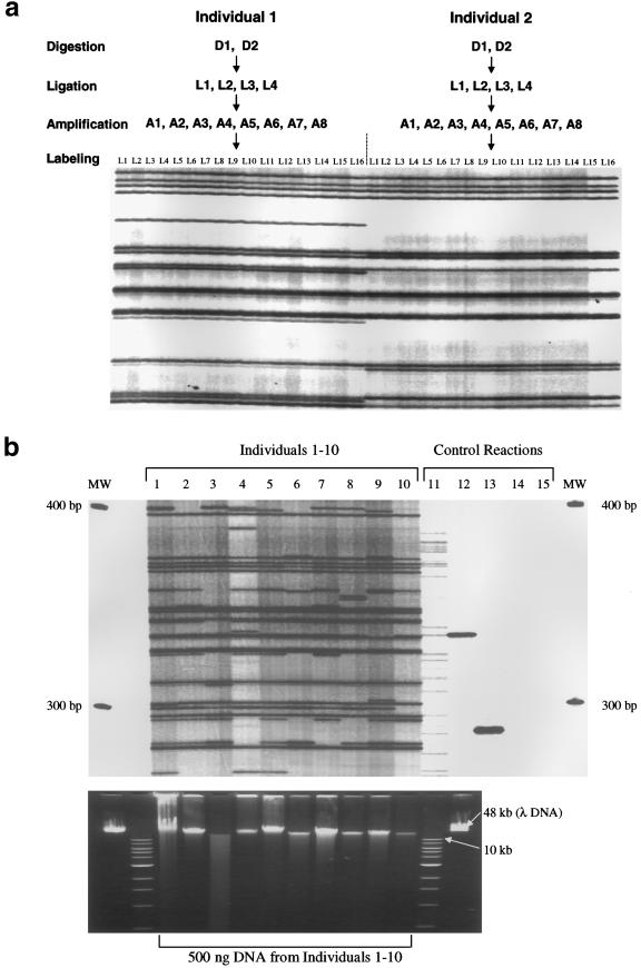 Figure  3