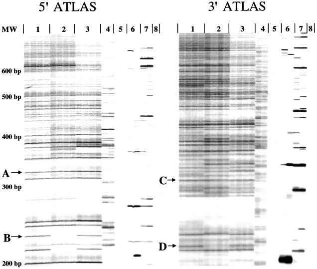 Figure  2