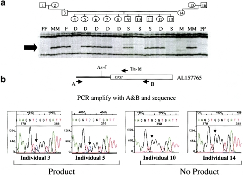 Figure  6