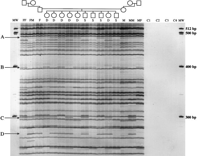 Figure  5