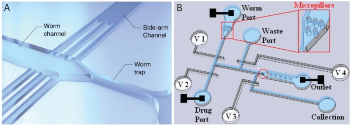 Figure 8