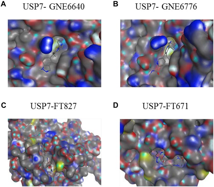 FIGURE 10