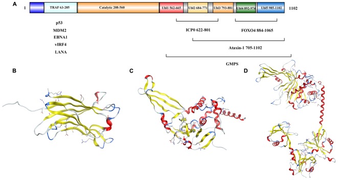 FIGURE 2