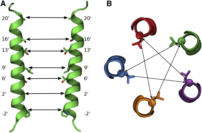 Figure 7