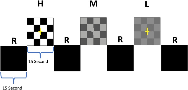 FIGURE 2