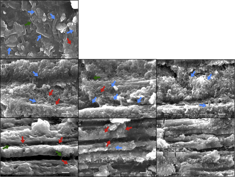 Figure 2