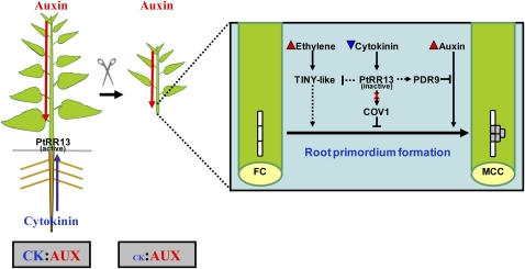 Figure 6.