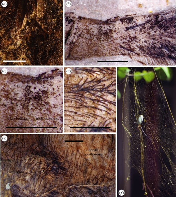 Figure 2.