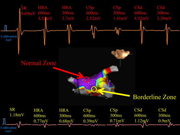 Fig. 2