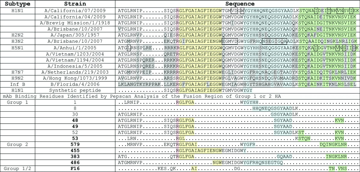 graphic file with name mabs-6-460-t1.jpg