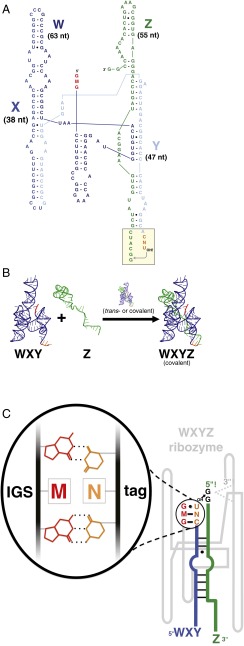 Fig. 1.