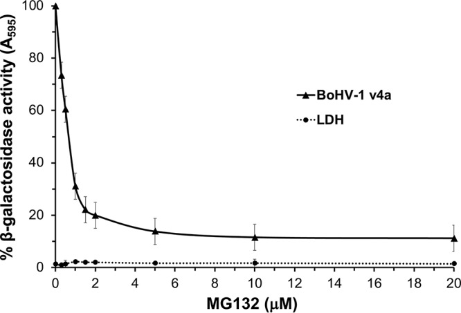 FIG 5