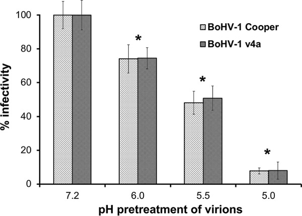 FIG 6