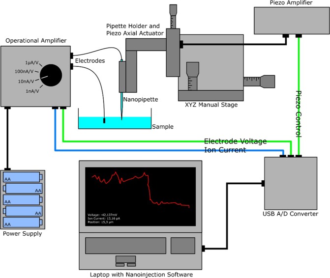 Figure 1