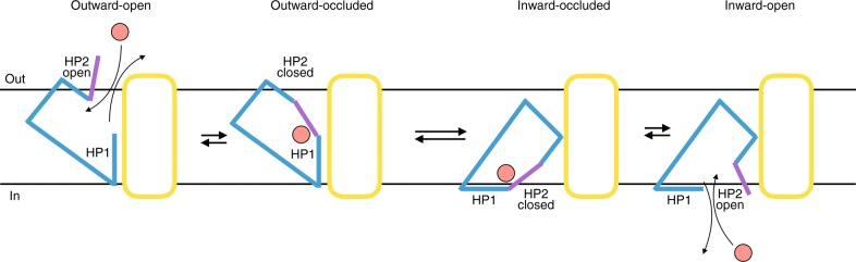 Fig. 5