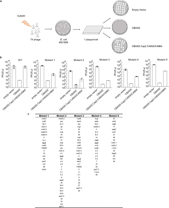 Extended Data Fig. 4