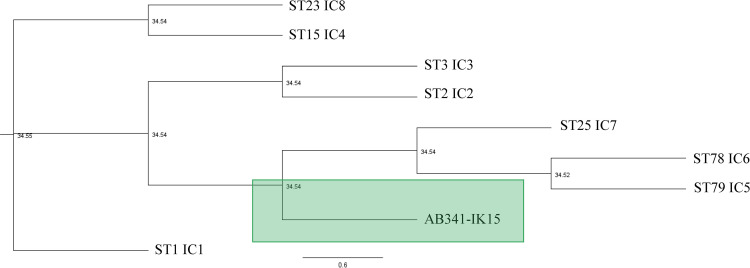 Fig. 1.