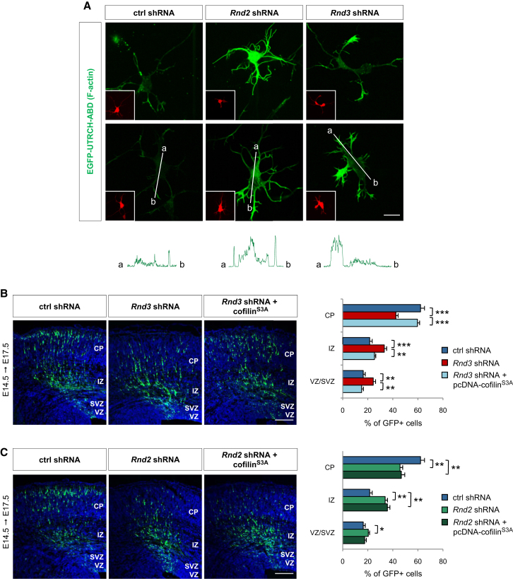 Figure 6